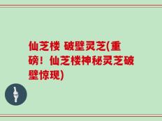 仙芝楼 破壁灵芝(重磅！仙芝楼神秘灵芝破壁惊现)