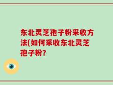东北灵芝孢子粉采收方法(如何采收东北灵芝孢子粉？