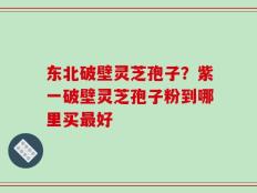 东北破壁灵芝孢子？紫一破壁灵芝孢子粉到哪里买最好