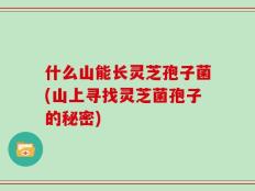 什么山能长灵芝孢子菌(山上寻找灵芝菌孢子的秘密)