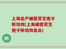上海出产破壁灵芝孢子粉功效(上海破壁灵芝孢子粉功效出众)