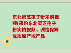 东北灵芝孢子粉采购视频(采购东北灵芝孢子粉实拍视频，诚信保障优质原产地产品