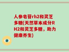 人参皂苷rh2和灵芝多糖(天然草本成分RH2和灵芝多糖，助力健康养生)