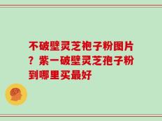不破壁灵芝袍子粉图片？紫一破壁灵芝孢子粉到哪里买最好