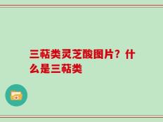 三萜类灵芝酸图片？什么是三萜类