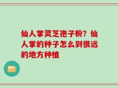 仙人掌灵芝孢子粉？仙人掌的种子怎么到很远的地方种植