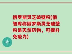 俄罗斯灵芝破壁粉(俄智库称俄罗斯灵芝破壁粉是天然药物，可提升免疫力)