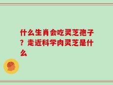 什么生肖会吃灵芝孢子？走近科学肉灵芝是什么