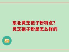 东北灵芝孢子粉特点？灵芝孢子粉是怎么样的