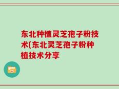 东北种植灵芝孢子粉技术(东北灵芝孢子粉种植技术分享