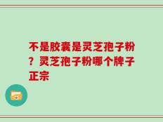 不是胶囊是灵芝孢子粉？灵芝孢子粉哪个牌子正宗