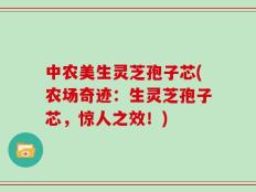 中农美生灵芝孢子芯(农场奇迹：生灵芝孢子芯，惊人之效！)
