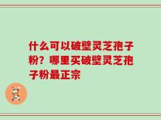 什么可以破壁灵芝孢子粉？哪里买破壁灵芝孢子粉最正宗