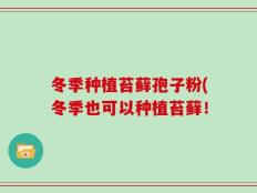 冬季种植苔藓孢子粉(冬季也可以种植苔藓！
