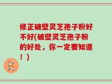 修正破壁灵芝孢子粉好不好(破壁灵芝孢子粉的好处，你一定要知道！)