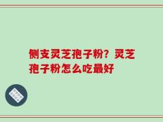 侧支灵芝孢子粉？灵芝孢子粉怎么吃最好
