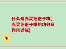 什么是赤灵芝孢子粉(赤灵芝孢子粉的功效及作用详解)