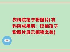 农科院孢子粉图片(农科院成果展：惊艳孢子粉图片展示植物之美)