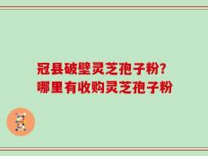 冠县破壁灵芝孢子粉？哪里有收购灵芝孢子粉