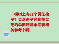 一棵树上有几个灵芝孢子？灵芝孢子究竟在灵芝的伞面还是伞底有相关参考书籍
