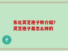 东北灵芝孢子粉介绍？灵芝孢子是怎么样的