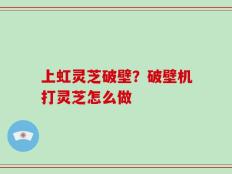 上虹灵芝破壁？破壁机打灵芝怎么做