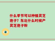 什么季节可以种植灵芝孢子？东北什么时候产灵芝孢子粉