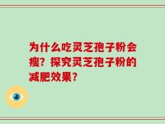为什么吃灵芝孢子粉会瘦？探究灵芝孢子粉的减肥效果？