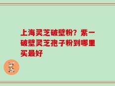 上海灵芝破壁粉？紫一破壁灵芝孢子粉到哪里买最好