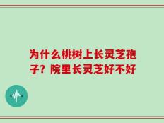 为什么桃树上长灵芝孢子？院里长灵芝好不好