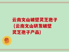 云南文山破壁灵芝孢子 (云南文山研发破壁灵芝孢子产品)
