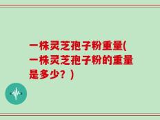 一株灵芝孢子粉重量(一株灵芝孢子粉的重量是多少？)