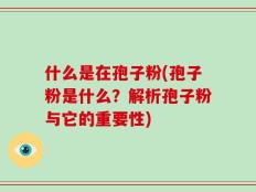 什么是在孢子粉(孢子粉是什么？解析孢子粉与它的重要性)