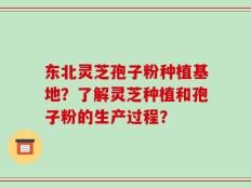 东北灵芝孢子粉种植基地？了解灵芝种植和孢子粉的生产过程？