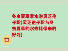 冬虫夏草煮水泡灵芝孢子粉(灵芝孢子粉与冬虫夏草的水煮比带来的好处)