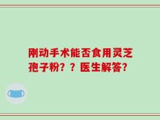 刚动手术能否食用灵芝孢子粉？？医生解答？