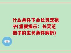 什么条件下会长灵芝孢子(重要提示：长灵芝孢子的生长条件解析)