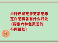 六种色灵芝青芝紫芝赤芝白芝粉各有什么好处 (探索六种色灵芝的不同益处)
