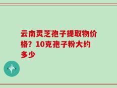 云南灵芝孢子提取物价格？10克孢子粉大约多少