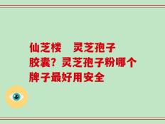 仙芝楼   灵芝孢子胶囊？灵芝孢子粉哪个牌子最好用安全