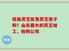 冠县灵芝批发灵芝孢子粉？山东最大的灵芝加工，收购公司