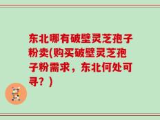 东北哪有破壁灵芝孢子粉卖(购买破壁灵芝孢子粉需求，东北何处可寻？)