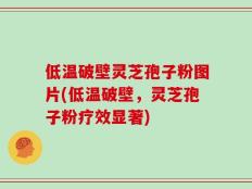 低温破壁灵芝孢子粉图片(低温破壁，灵芝孢子粉疗效显著)