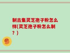 制古集灵芝孢子粉怎么样(灵芝孢子粉怎么制？)