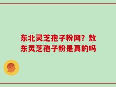 东北灵芝孢子粉网？敖东灵芝孢子粉是真的吗