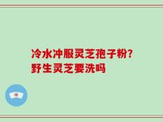冷水冲服灵芝孢子粉？野生灵芝要洗吗