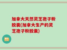 加拿大天然灵芝孢子粉胶囊(加拿大生产的灵芝孢子粉胶囊)