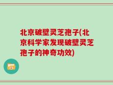 北京破壁灵芝孢子(北京科学家发现破壁灵芝孢子的神奇功效)