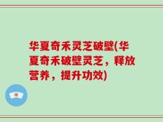 华夏奇禾灵芝破壁(华夏奇禾破壁灵芝，释放营养，提升功效)