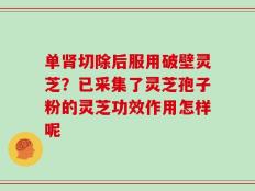 单肾切除后服用破壁灵芝？已采集了灵芝孢子粉的灵芝功效作用怎样呢